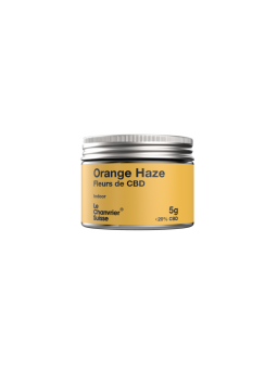 Fleur Orange Haze | Le...