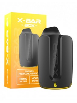 X Bar Box 4000 Puffs -...